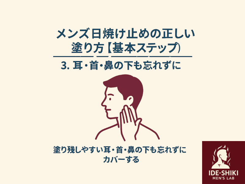 日焼け止めの正しい塗り方STEP3のイラスト