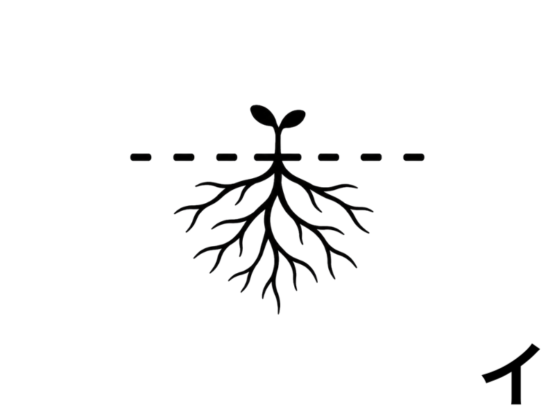 白背景に、小さな芽が地上に出ており、その下には大きく広がる根が描かれているシンプルな黒のピクトグラム画像。目に見えない場所で努力が積み上がり、成果が育っていくことを表している。